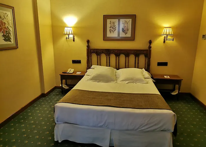 Hotel Ele Puente De Salamanque