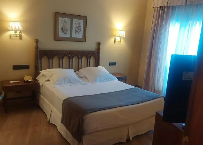 Ele Puente De Salamanque