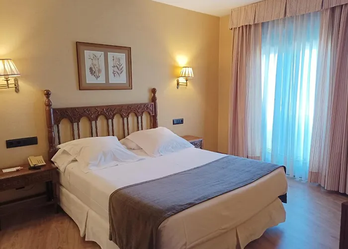 Ele Puente De Salamanque